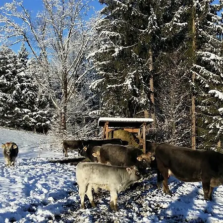 Daire Haus Reiter Abtenau