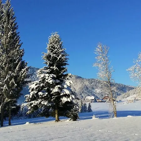 Apartamento Haus Reiter Abtenau