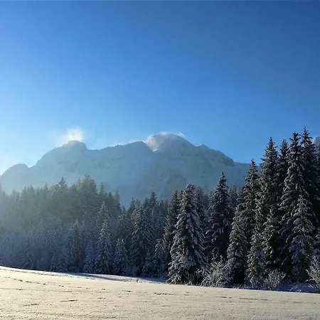 Apartamento Haus Reiter *