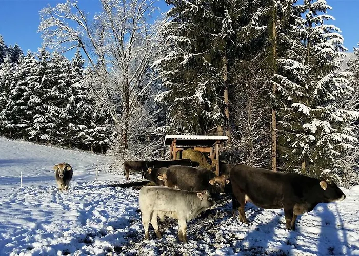 公寓 Haus Reiter 阿布特瑙