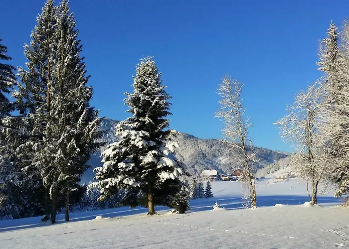 公寓 Haus Reiter 阿布特瑙