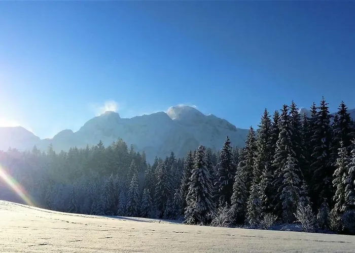 公寓 Haus Reiter *