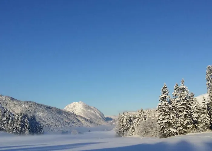 Haus Reiter 公寓 阿布特瑙